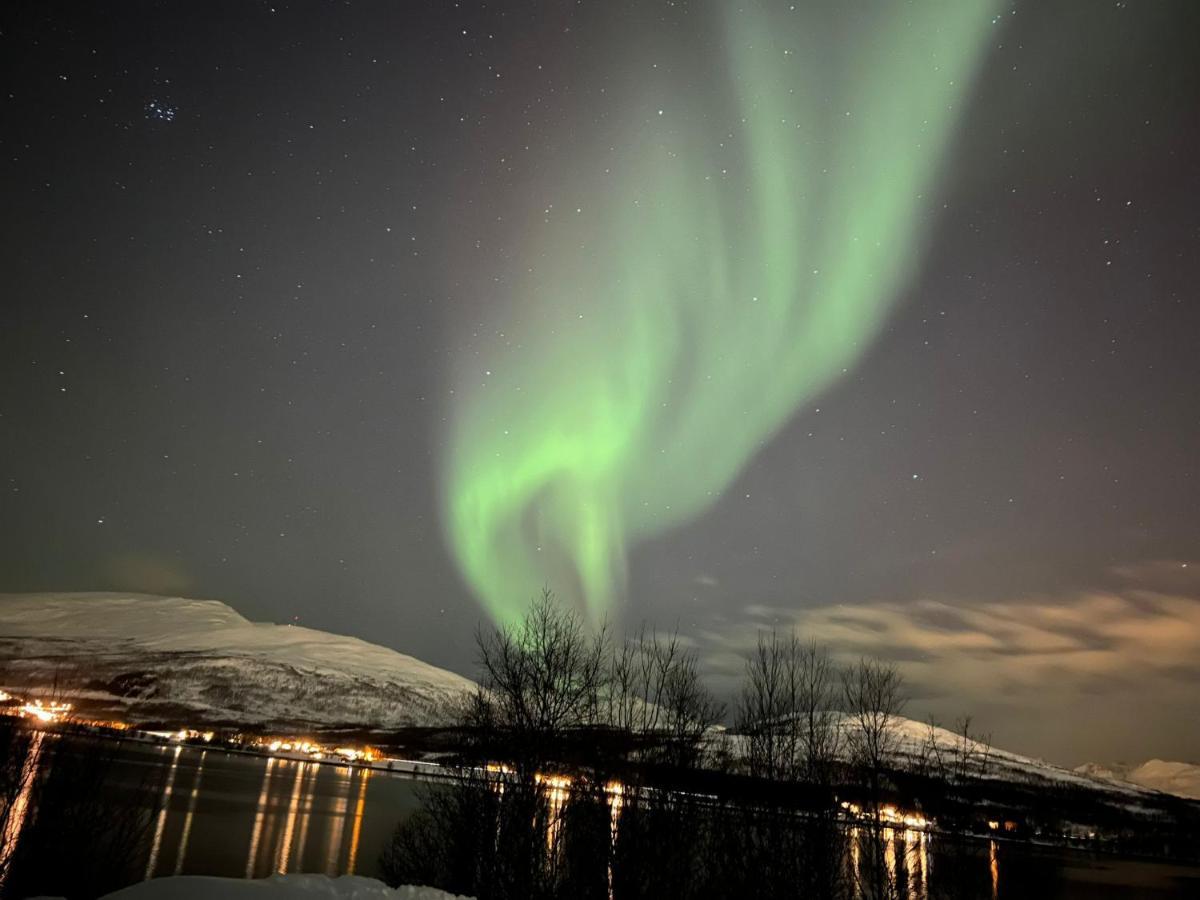 Håkøyveien 151 Hotell Tromsø Eksteriør bilde